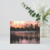 サンセット・インプレッションズ ポストカード (スタンド正面)