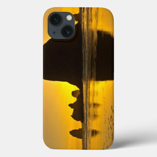 サンセット，キャノンビーチ，オレゴン，米国 Case-Mate iPhoneケース (裏面)