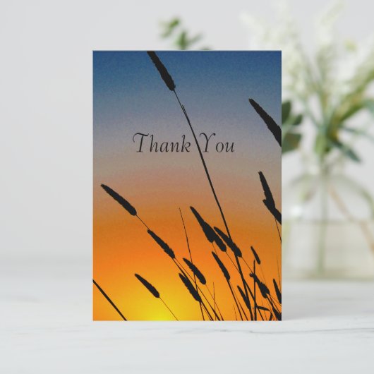 サンセット サンキューカード (スタンド正面)