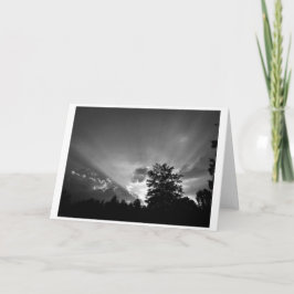 サンセット/ノワール，カード カード