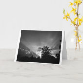 サンセット/ノワール，カード カード (黄色い花)