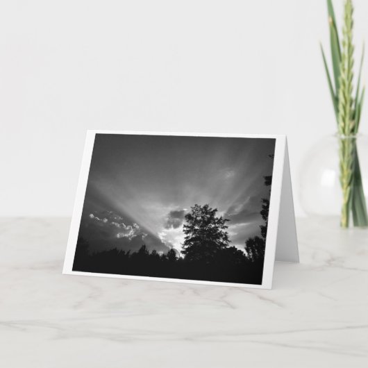 サンセット/ノワール，カード カード (正面)