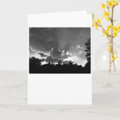 サンセット/ノワール,カード カード (黄色い花)