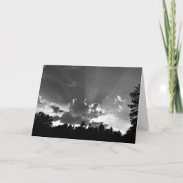 サンセット/ノワール，カード カード