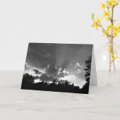 サンセット/ノワール，カード カード (黄色い花)