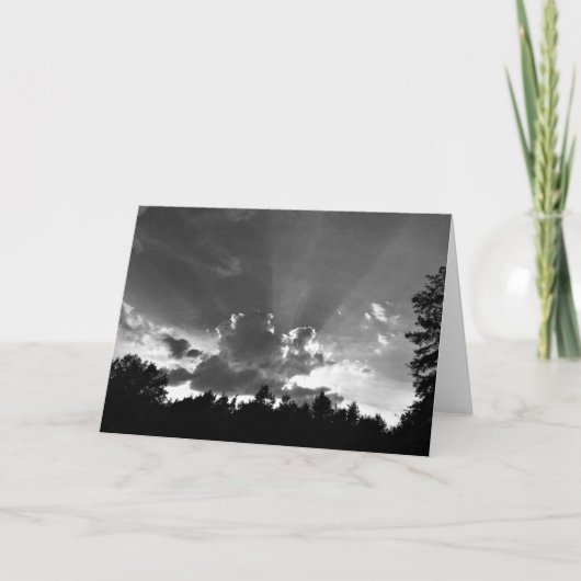 サンセット/ノワール，カード カード (正面)