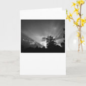 サンセット/ノワール，カード カード (黄色い花)