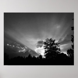 サンセット/ノワール、 ポスター