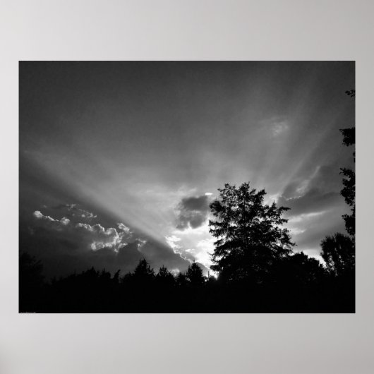 サンセット/ノワール、 ポスター (正面)