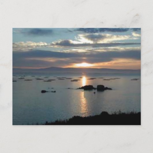 サンセット ポストカード (正面)