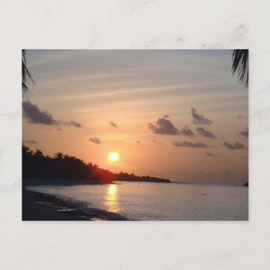 サンセット ポストカード (正面)