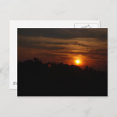 サンセット ポストカード (正面/裏面)