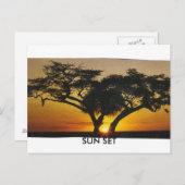 サンセット ポストカード (正面/裏面)