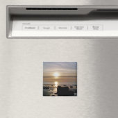 サンセット マグネット (インサイチュ (食洗機))