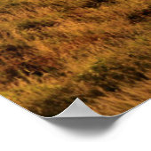 サンセット、海のスタック、姉妹、オレゴン州コースト ポスター (角)