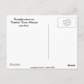 サンセット、著作権：Deidre Kelley 2008 ポストカード (裏面)