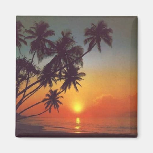 サンセティスランド マグネット (正面)