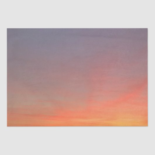 サンセ輝くットティッシュペーパー 薄葉紙 (正面)