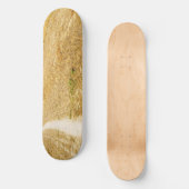 サンソルへの道 スケートボード (正面)