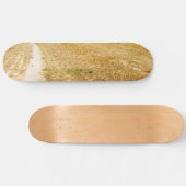 サンソルへの道 スケートボード (横)