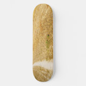 サンソルへの道 スケートボード (正面)