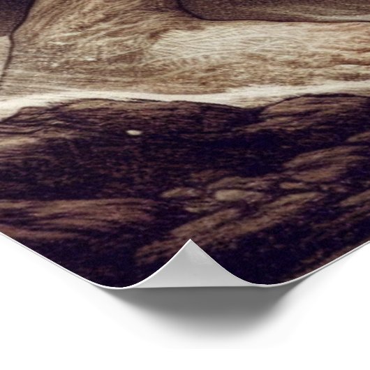 サンソンがライオンバイブルのストーリーアートと戦う ポスター (角)