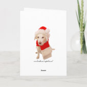 サンタおもしろいを見る猫 シーズンカード (裏面)