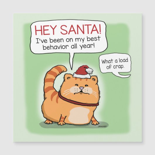 サンタおもしろいクロースのクリスマスに猫が横たわる (正面)