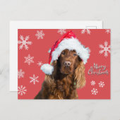 サンタおもしろいズ・ハットに登場するメリークリスマス犬 シーズンポストカード (正面/裏面)