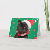 サンタおもしろいハットの猫にメリークリスマス シーズンカード (正面)