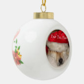 サンタおもしろい姿のかわいい秋田犬 セラミックボールオーナメント (左)