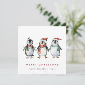 サンタお洒落ペンギン企業のス シーズンカード (スタンド正面)