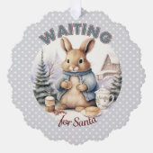 サンタかわいいうさぎクリスマスを待っている オーナメントカード (正面)