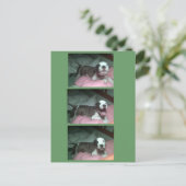 サンタが欲しい。サンタが欲しい シーズンポストカード (スタンド正面)