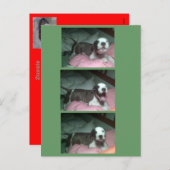 サンタが欲しい。サンタが欲しい シーズンポストカード (正面/裏面)