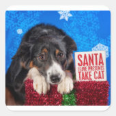 サンタが猫を飼う スクエアシール (正面)