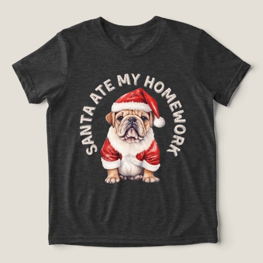 サンタが私の宿題を食べちゃった トライブレンドTシャツ (デザイン正面)