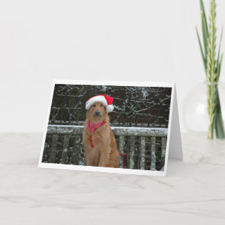 サンタくま シーズンカード