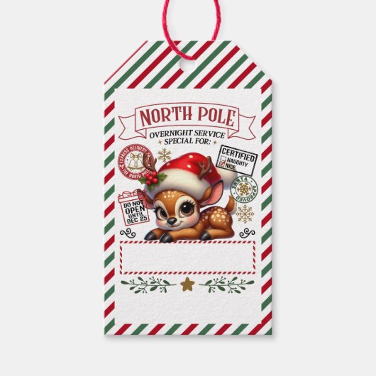 サンタさんからのかわいいクリスマス特別配達 ギフトタグ (正面)