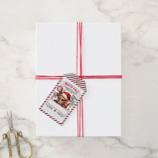 サンタさんからのかわいいクリスマス特別配達 ギフトタグ (より糸付き)