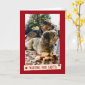 サンタさんかわいいクリスマスカードを待つ犬たち カード (黄色い花)