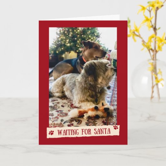 サンタさんかわいいクリスマスカードを待つ犬たち カード (黄色い花)