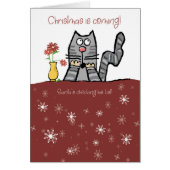 サンタさんのお気に入りでないクリスマスキャット (正面)