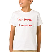 サンタさんへ それ私じゃないです!