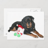 サンタさん頑張った シーズンポストカード (正面/裏面)