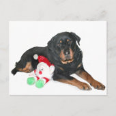 サンタさん頑張った シーズンポストカード (正面)