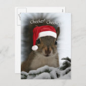 サンタすてきハットを着たリス・サンタリス シーズンポストカード (正面/裏面)