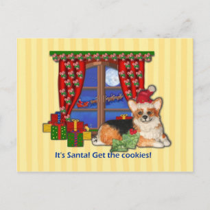 サンタだ!クッキーを取れ!コルギクリスマスカード シーズンポストカード