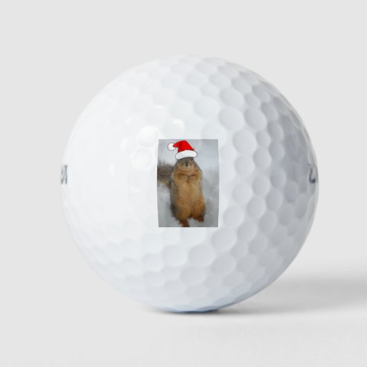 サンタとクリスマスリス ゴルフボール (正面)
