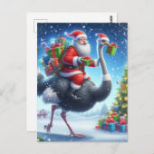 サンタとダチョウフェスティバルクリスマス ポストカード (正面/裏面)